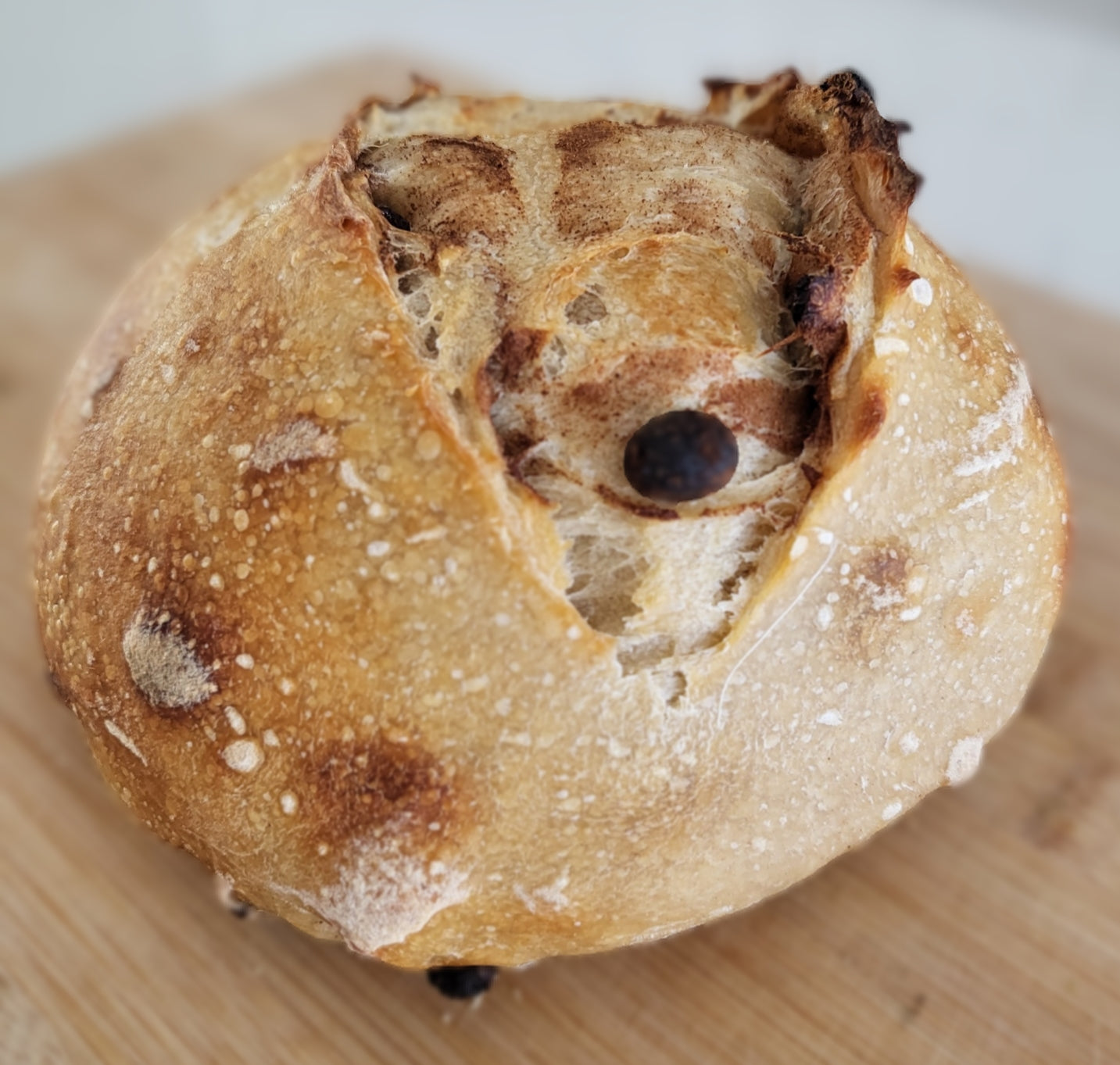 Organic Cinnamon Raisin Sourdough
